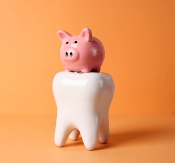 a piggy bank on top of a model tooth