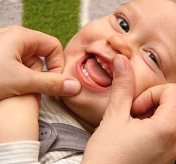 A person looking at their baby’s teeth